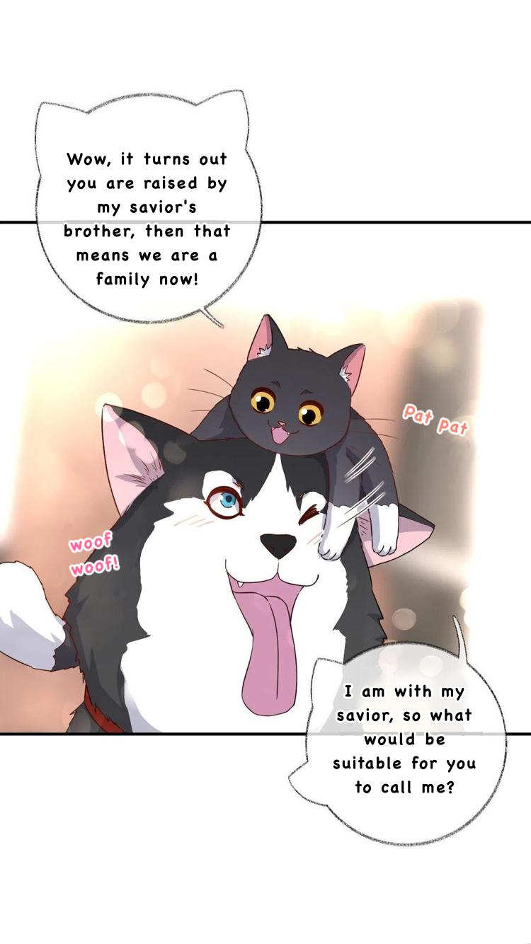 Pay Me Back, Mr. Cat Chapter 26 page 14 - 