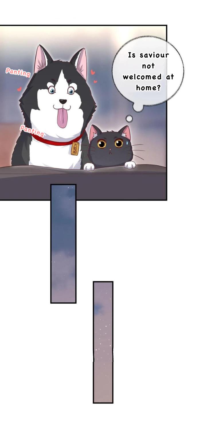 Pay Me Back, Mr. Cat Chapter 26 page 19 - 