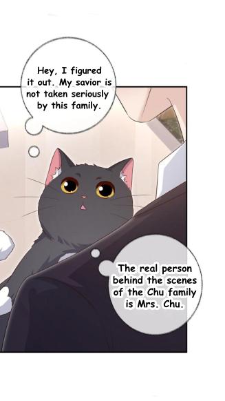 Pay Me Back, Mr. Cat Chapter 26 page 24 - 