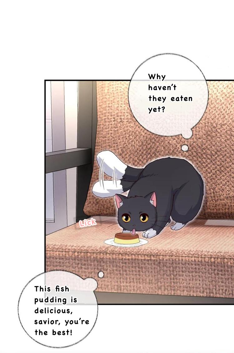 Pay Me Back, Mr. Cat Chapter 26 page 4 - 