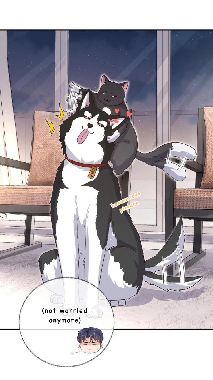 Pay Me Back, Mr. Cat Chapter 26 page 9 - 