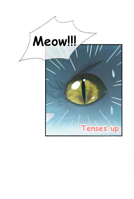 Pay Me Back, Mr. Cat Chapter 27 page 5 - 