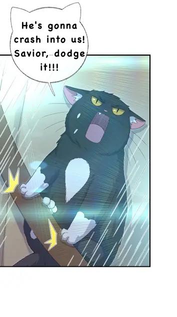 Pay Me Back, Mr. Cat Chapter 27 page 6 - 