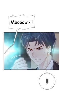 Pay Me Back, Mr. Cat Chapter 27 page 7 - 