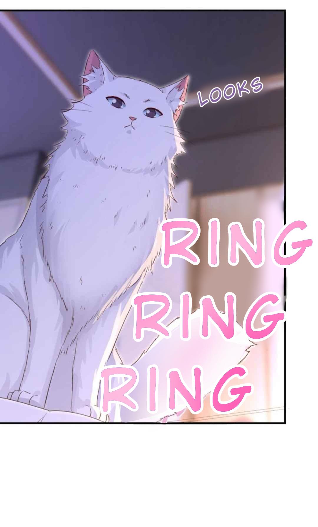 Pay Me Back, Mr. Cat Chapter 29 page 8 - 