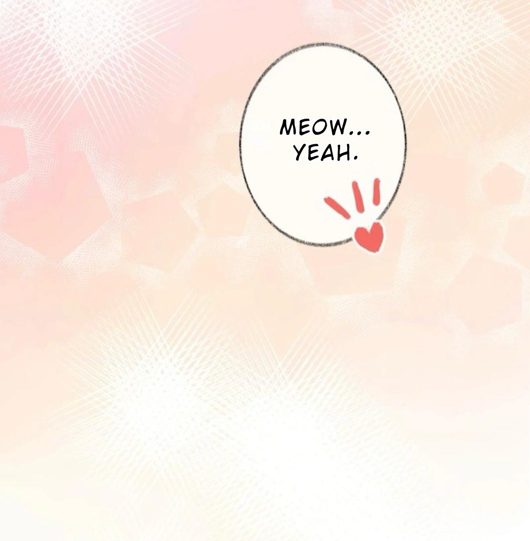 Pay Me Back, Mr. Cat Chapter 30 page 38 - 