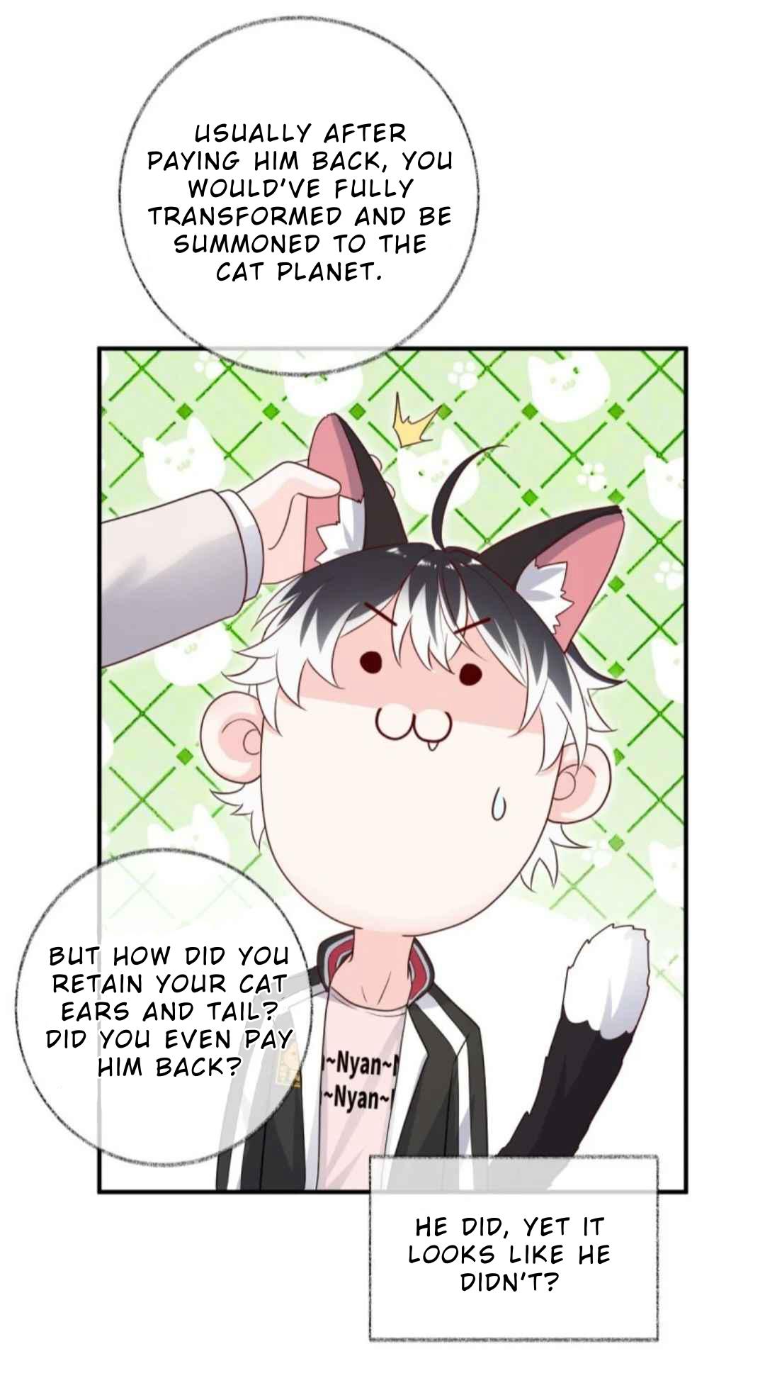 Pay Me Back, Mr. Cat Chapter 31 page 28 - 