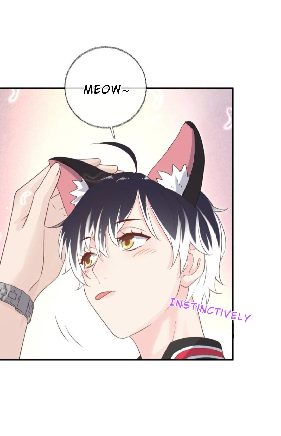 Pay Me Back, Mr. Cat Chapter 31 page 4 - 