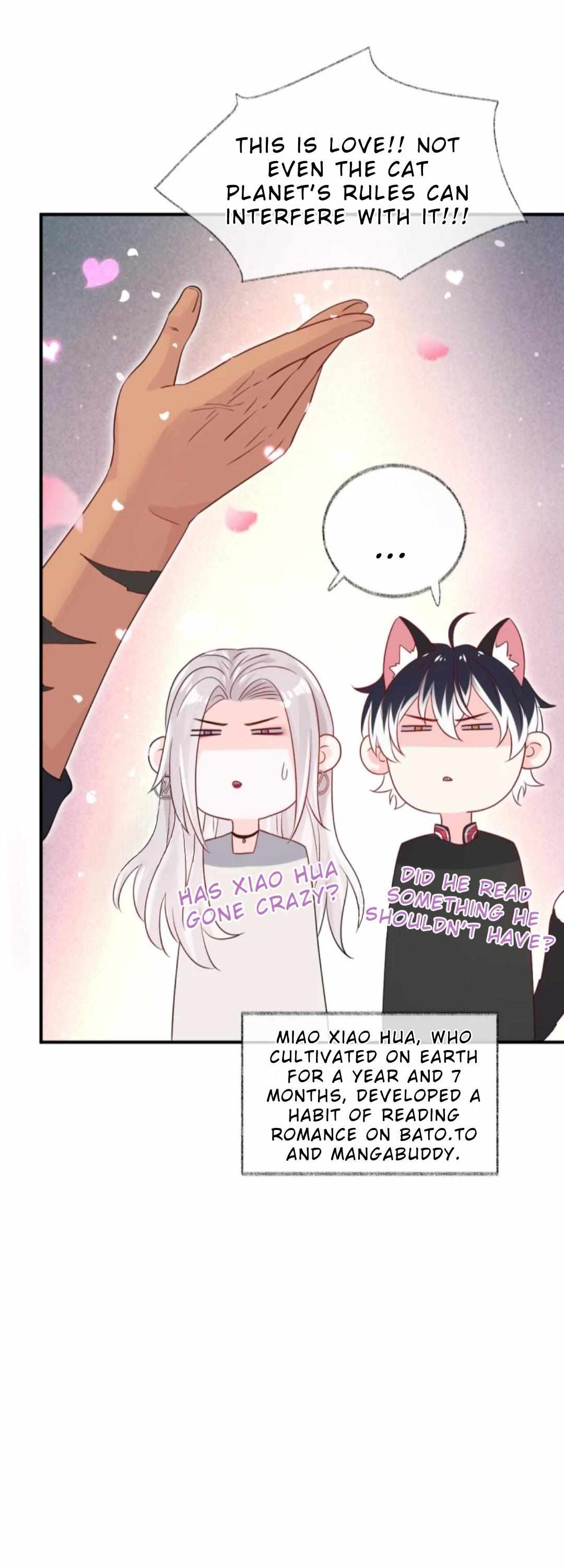 Pay Me Back, Mr. Cat Chapter 31 page 31 - 