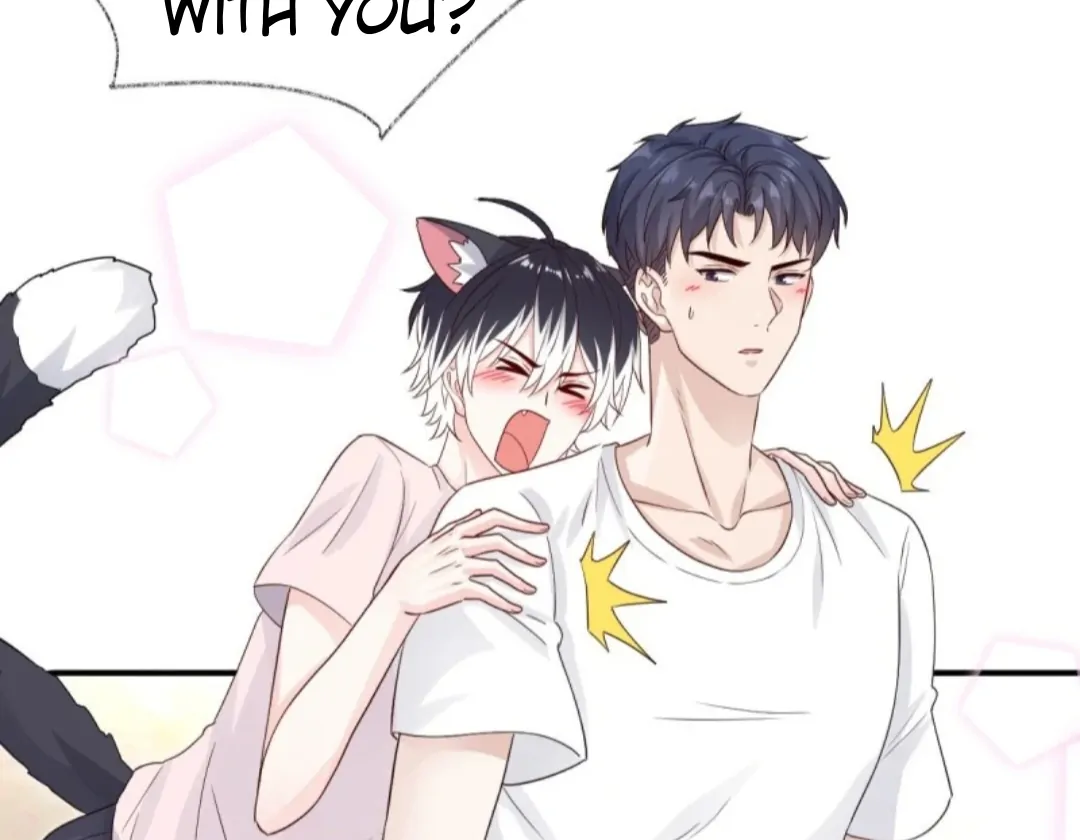 Pay Me Back, Mr. Cat Chapter 33 page 22 - 