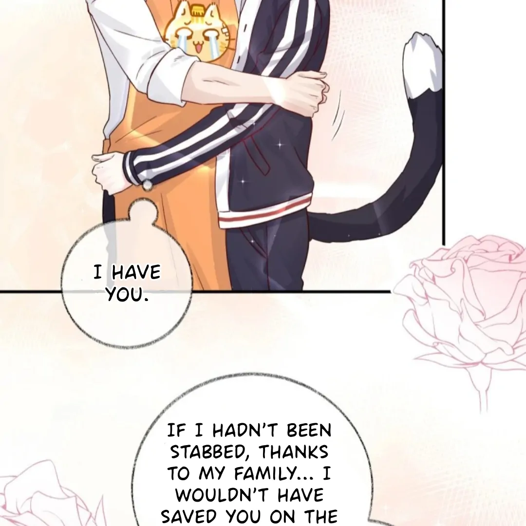 Pay Me Back, Mr. Cat Chapter 35 page 21 - 