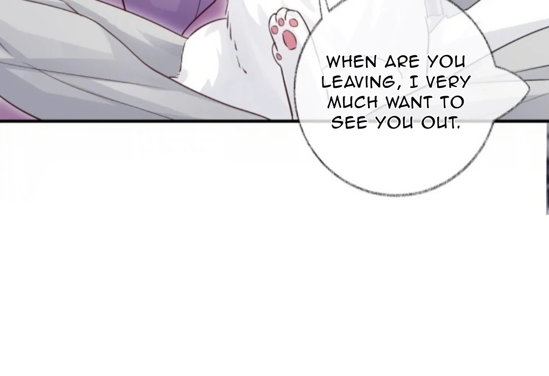 Pay Me Back, Mr. Cat Chapter 37 page 11 - 