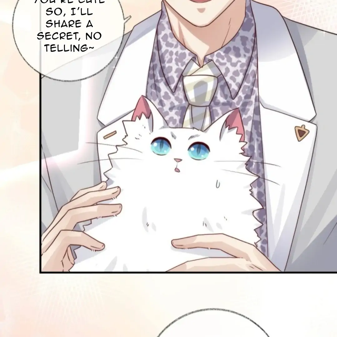 Pay Me Back, Mr. Cat Chapter 37 page 13 - 