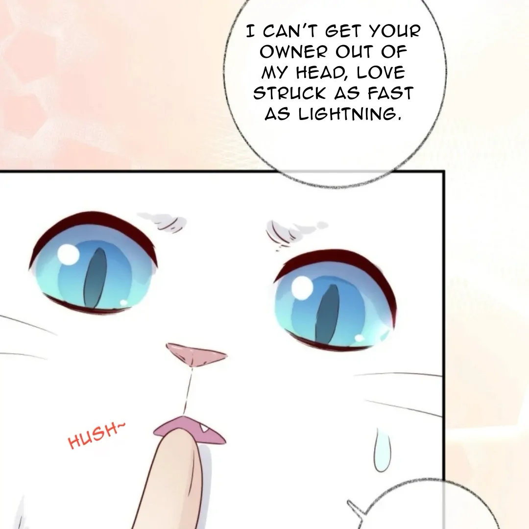 Pay Me Back, Mr. Cat Chapter 37 page 14 - 