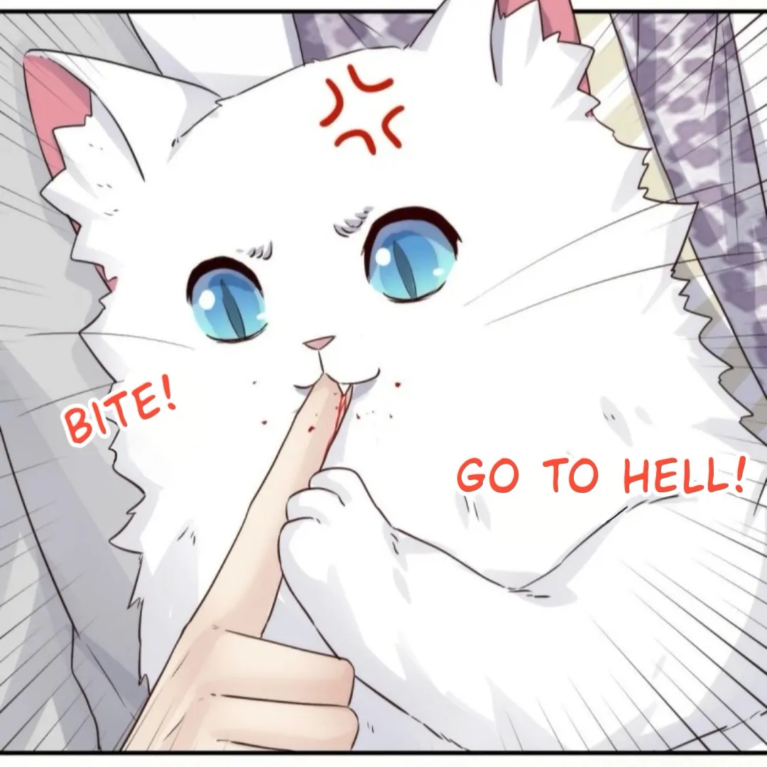 Pay Me Back, Mr. Cat Chapter 37 page 16 - 
