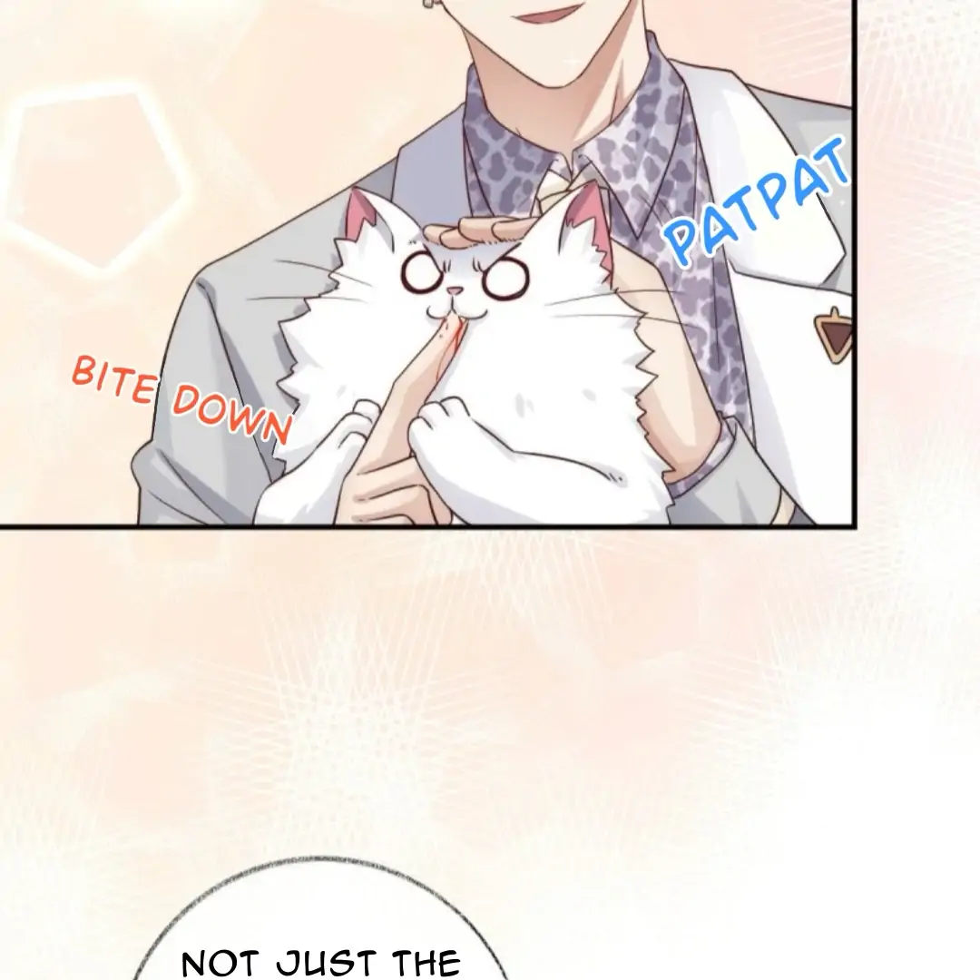Pay Me Back, Mr. Cat Chapter 37 page 18 - 