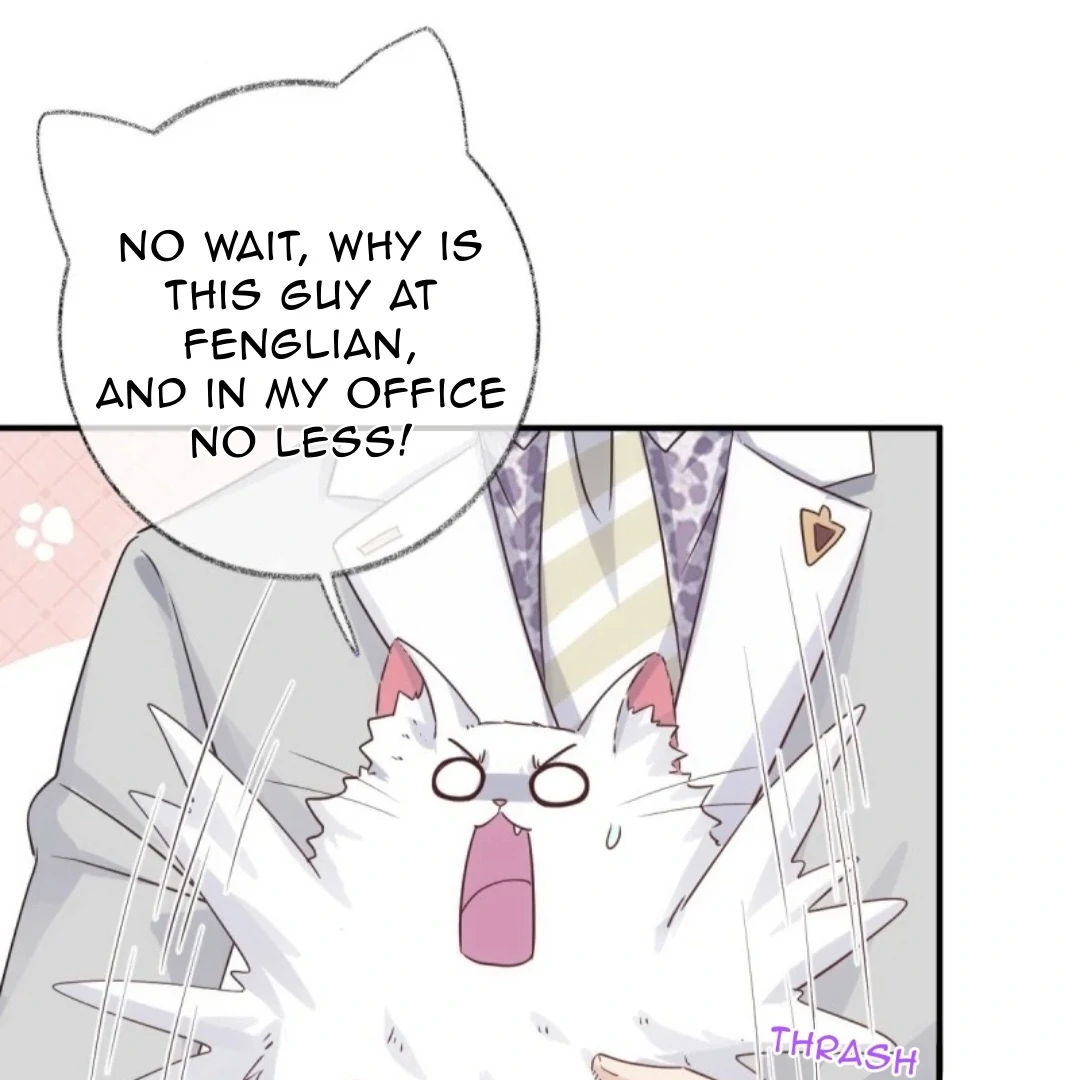 Pay Me Back, Mr. Cat Chapter 37 page 6 - 