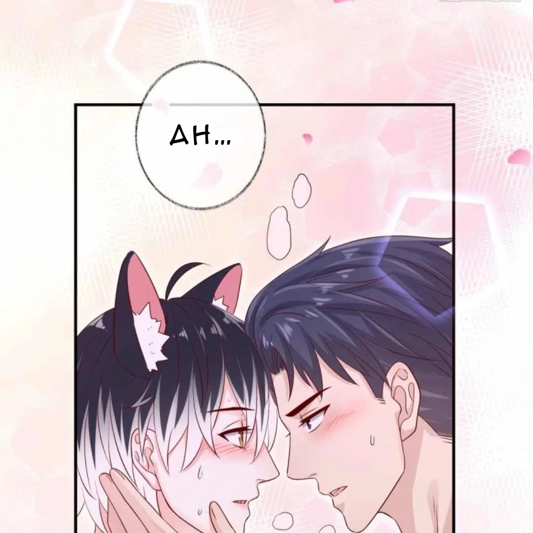 Pay Me Back, Mr. Cat Chapter 38 page 12 - 