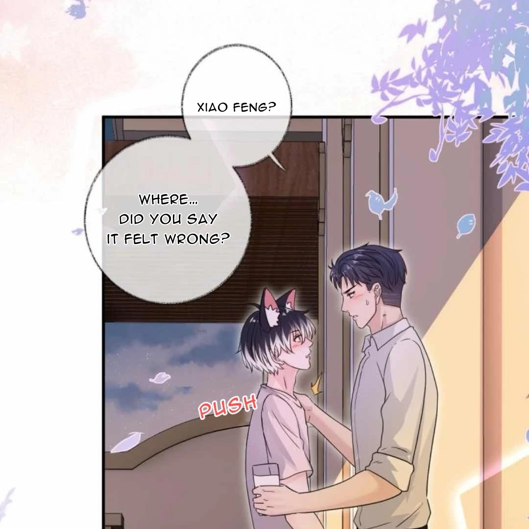 Pay Me Back, Mr. Cat Chapter 38 page 5 - 