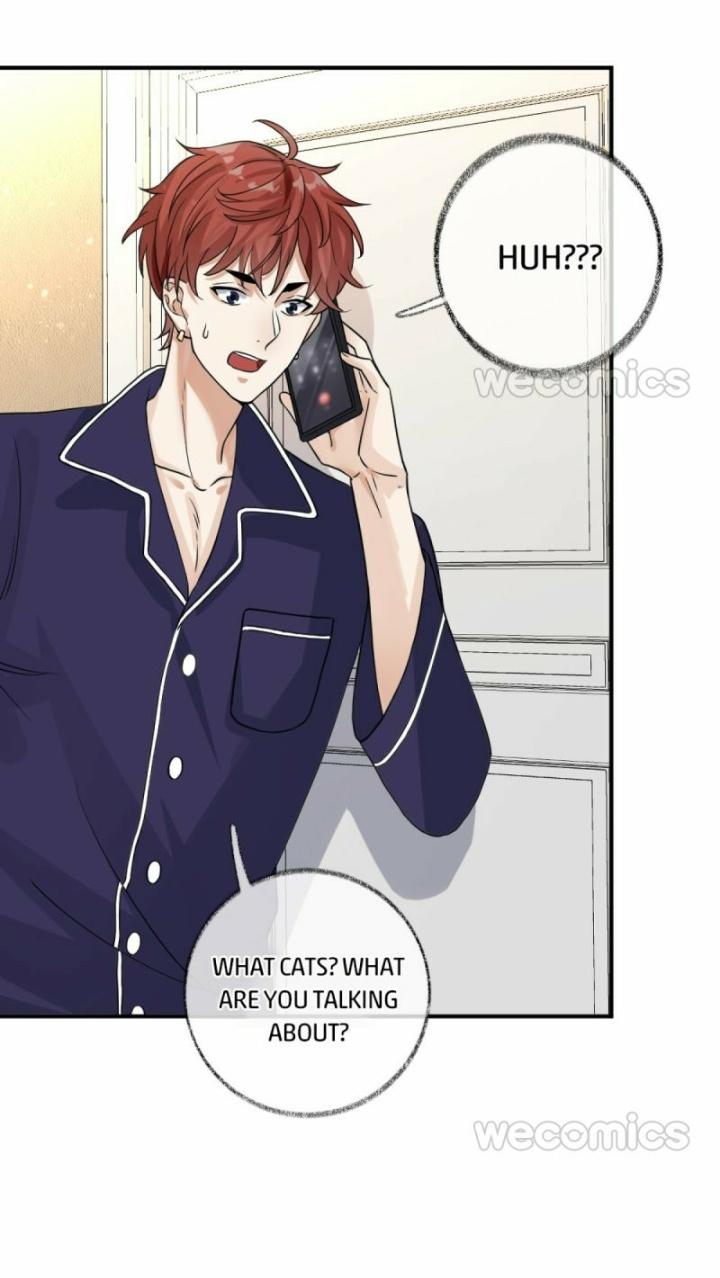 Pay Me Back, Mr. Cat Chapter 9 page 11 - 
