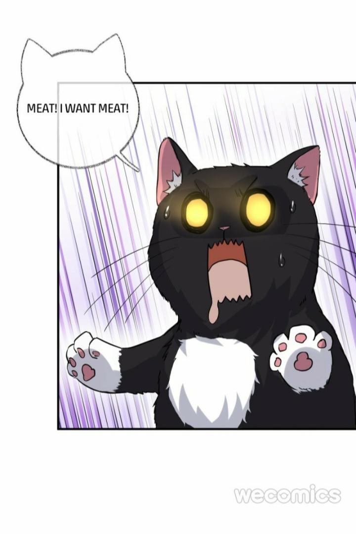 Pay Me Back, Mr. Cat Chapter 9 page 12 - 