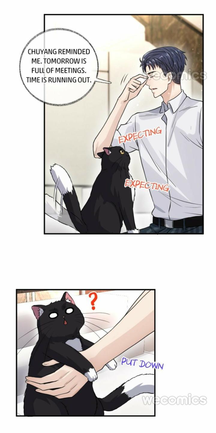 Pay Me Back, Mr. Cat Chapter 9 page 15 - 