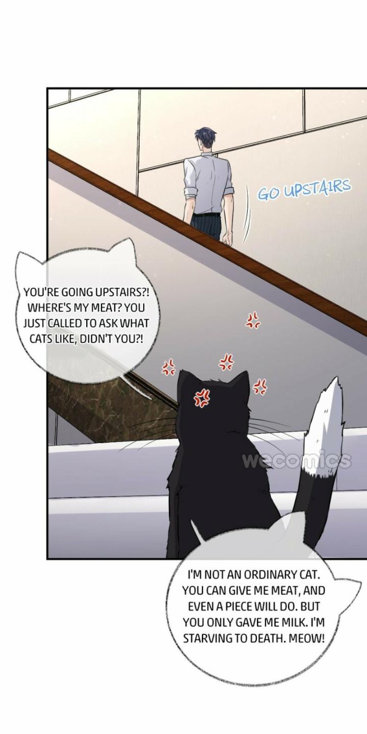 Pay Me Back, Mr. Cat Chapter 9 page 16 - 