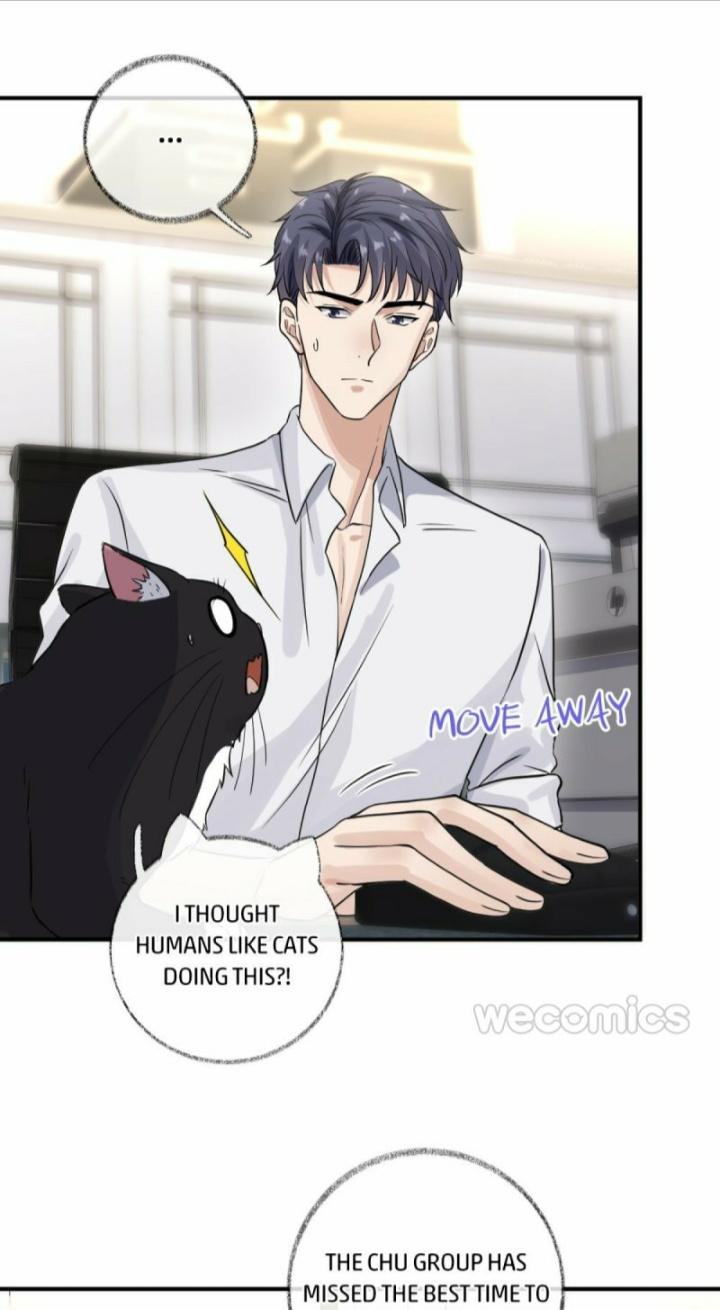 Pay Me Back, Mr. Cat Chapter 9 page 21 - 
