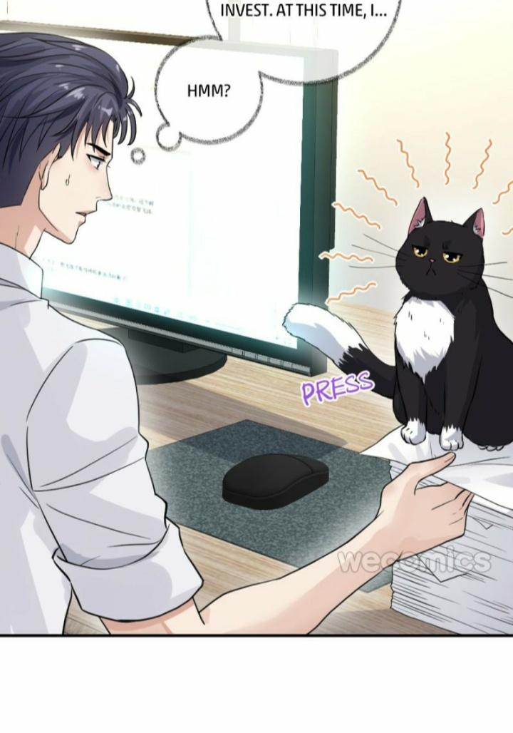 Pay Me Back, Mr. Cat Chapter 9 page 22 - 
