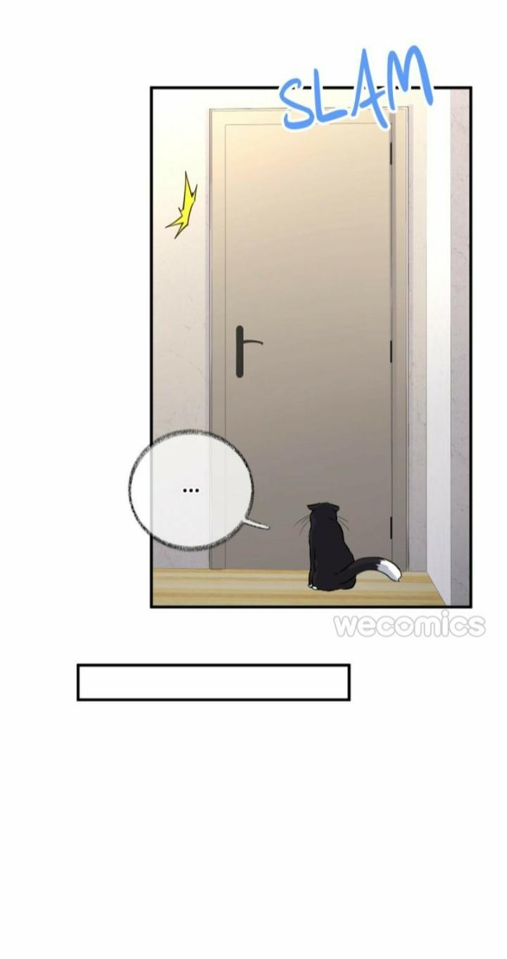 Pay Me Back, Mr. Cat Chapter 9 page 23 - 