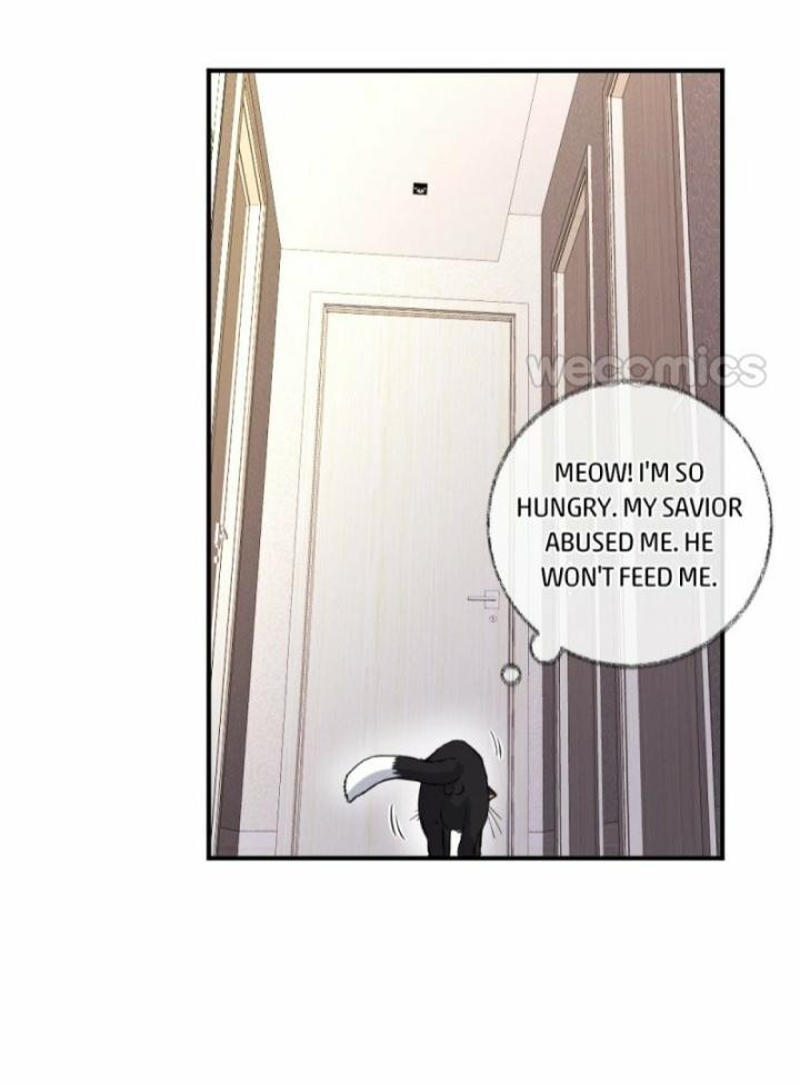 Pay Me Back, Mr. Cat Chapter 9 page 27 - 