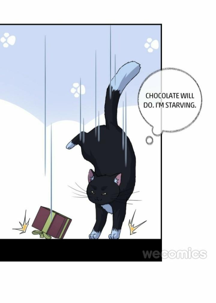 Pay Me Back, Mr. Cat Chapter 9 page 30 - 