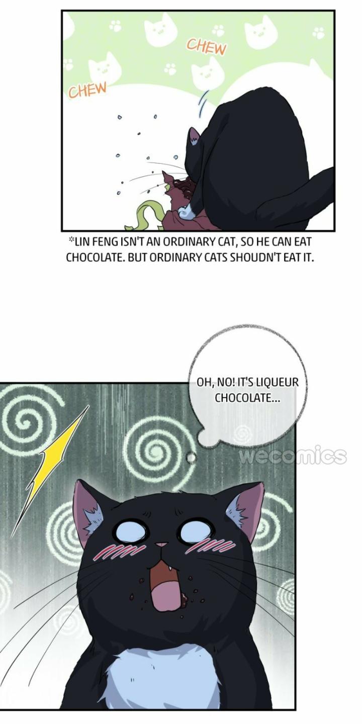 Pay Me Back, Mr. Cat Chapter 9 page 31 - 