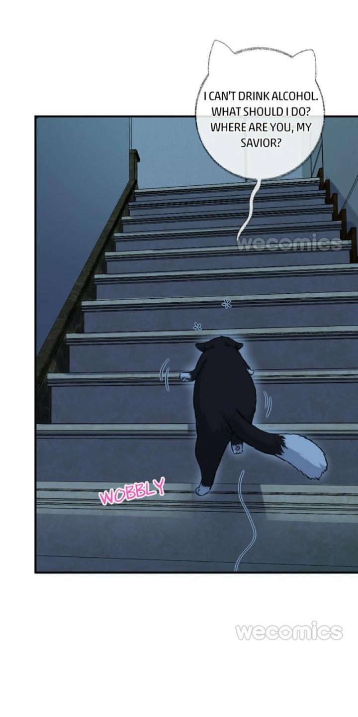 Pay Me Back, Mr. Cat Chapter 9 page 32 - 