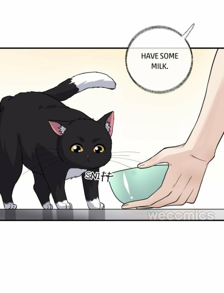 Pay Me Back, Mr. Cat Chapter 9 page 5 - 