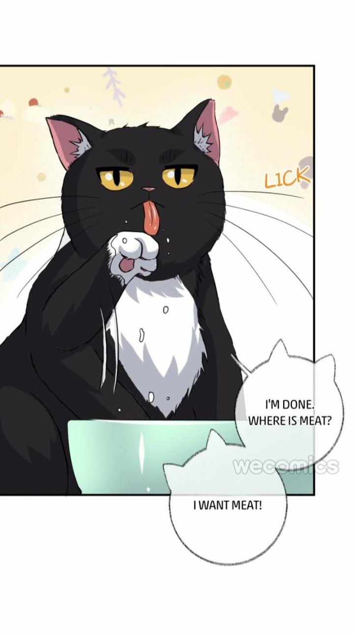Pay Me Back, Mr. Cat Chapter 9 page 6 - 