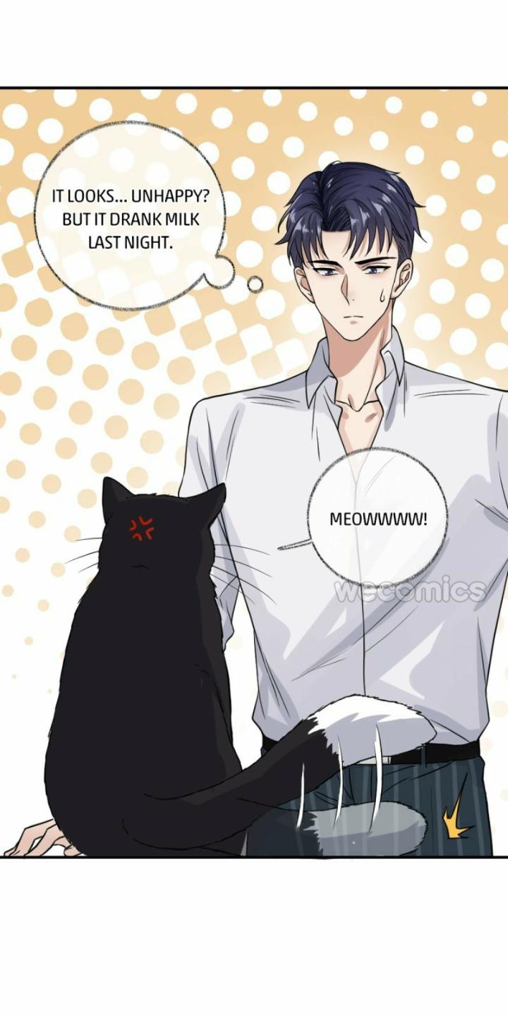 Pay Me Back, Mr. Cat Chapter 9 page 7 - 