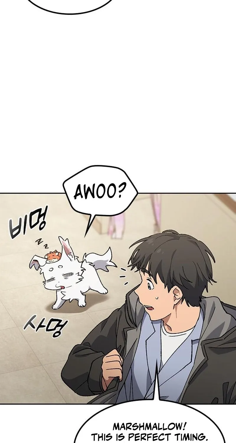 Peaceful Camping Lifein Another World Chapter 88 page 27 - 