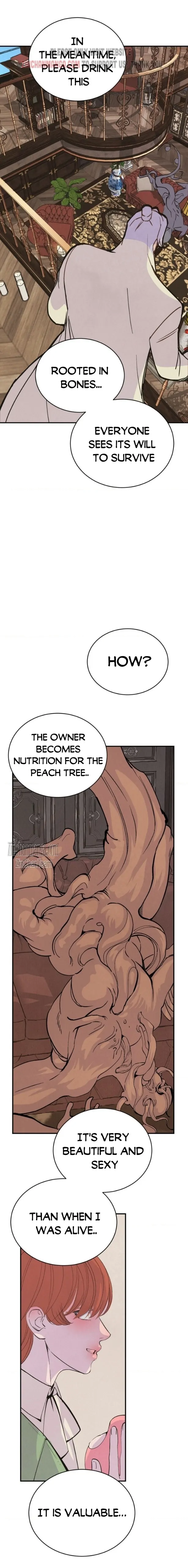 Peach Boy (Yooyoung) Chapter 12 page 20 - 