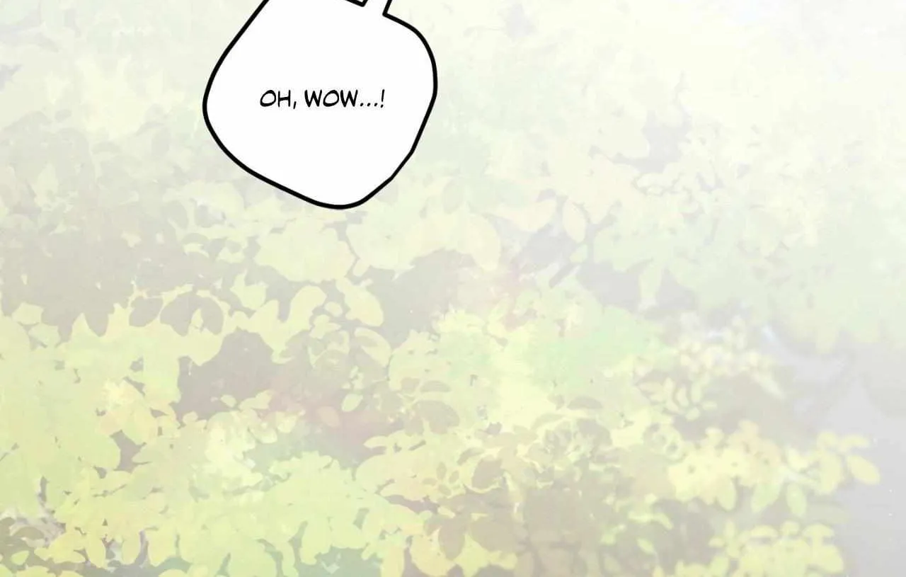 Pear Blosom Love Chapter 67 page 91 - 