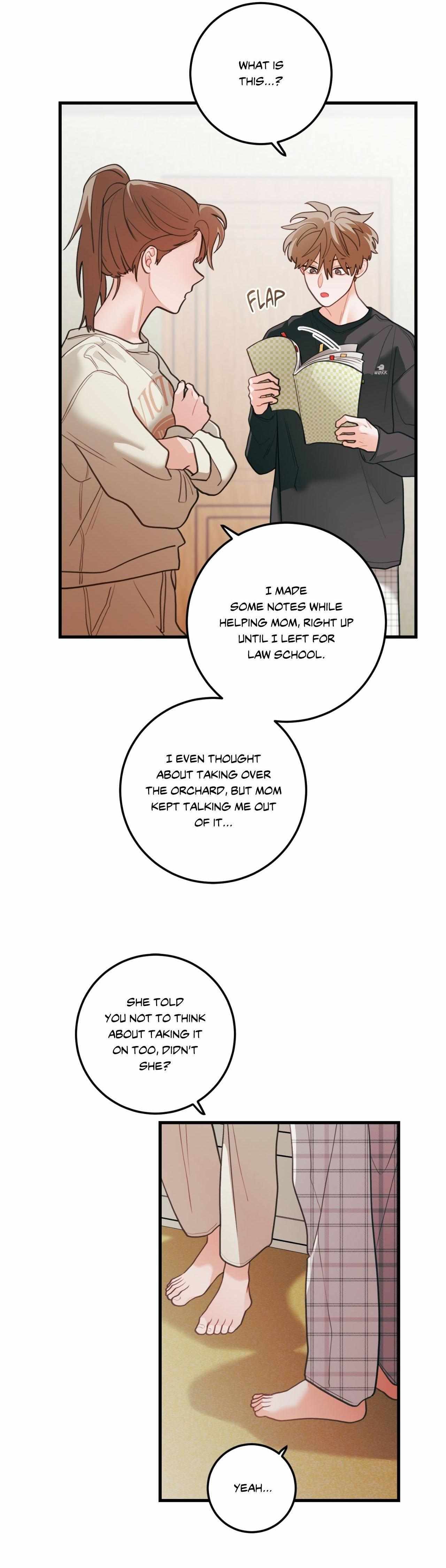 Pear Blosom Love Chapter 74 page 19 - 