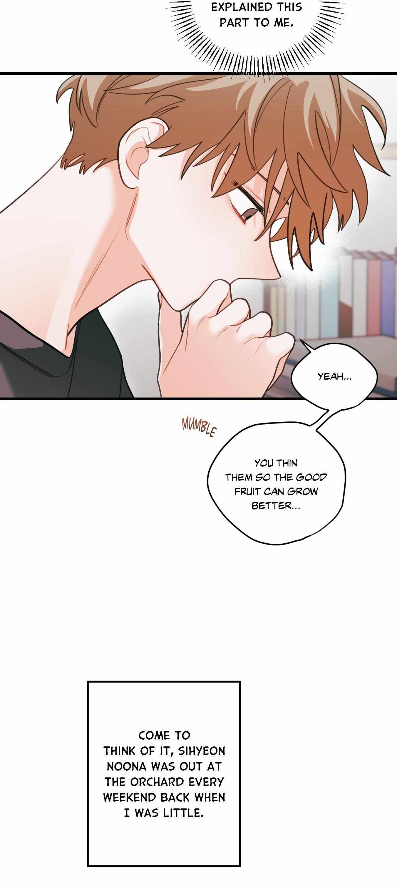 Pear Blosom Love Chapter 74 page 24 - 