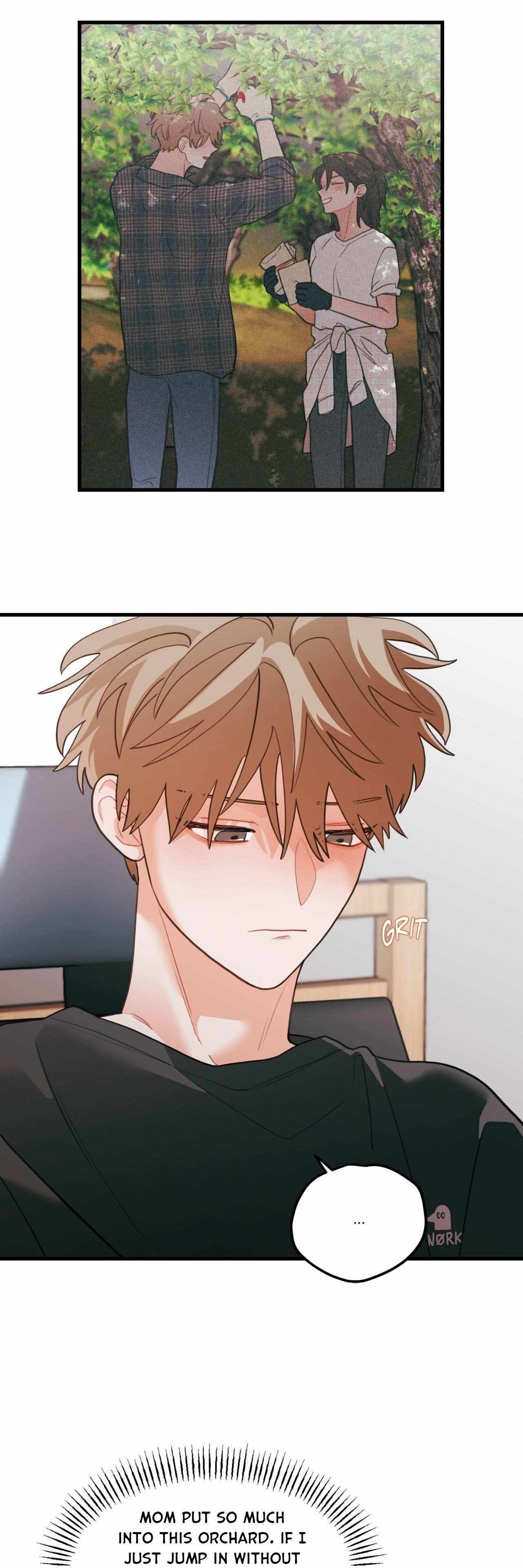 Pear Blosom Love Chapter 74 page 27 - 