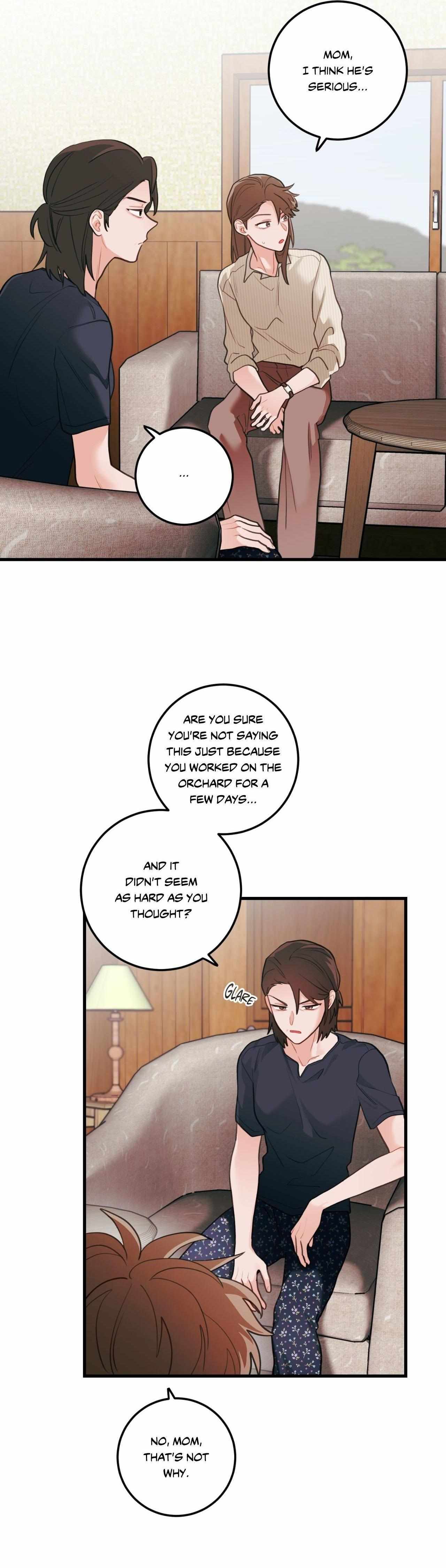 Pear Blosom Love Chapter 75 page 13 - 