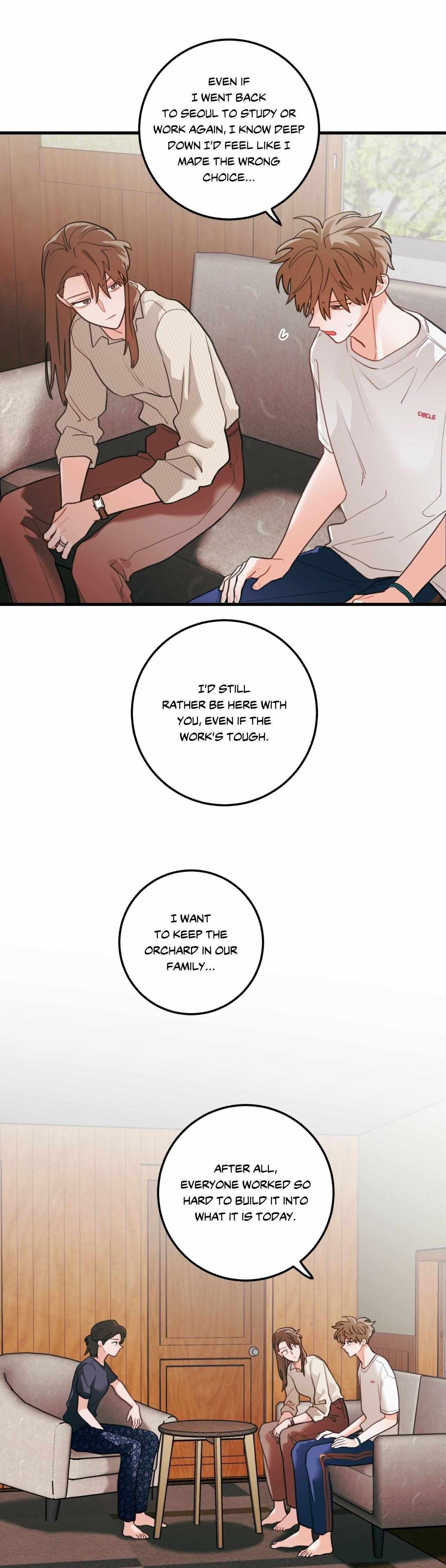Pear Blosom Love Chapter 75 page 14 - 
