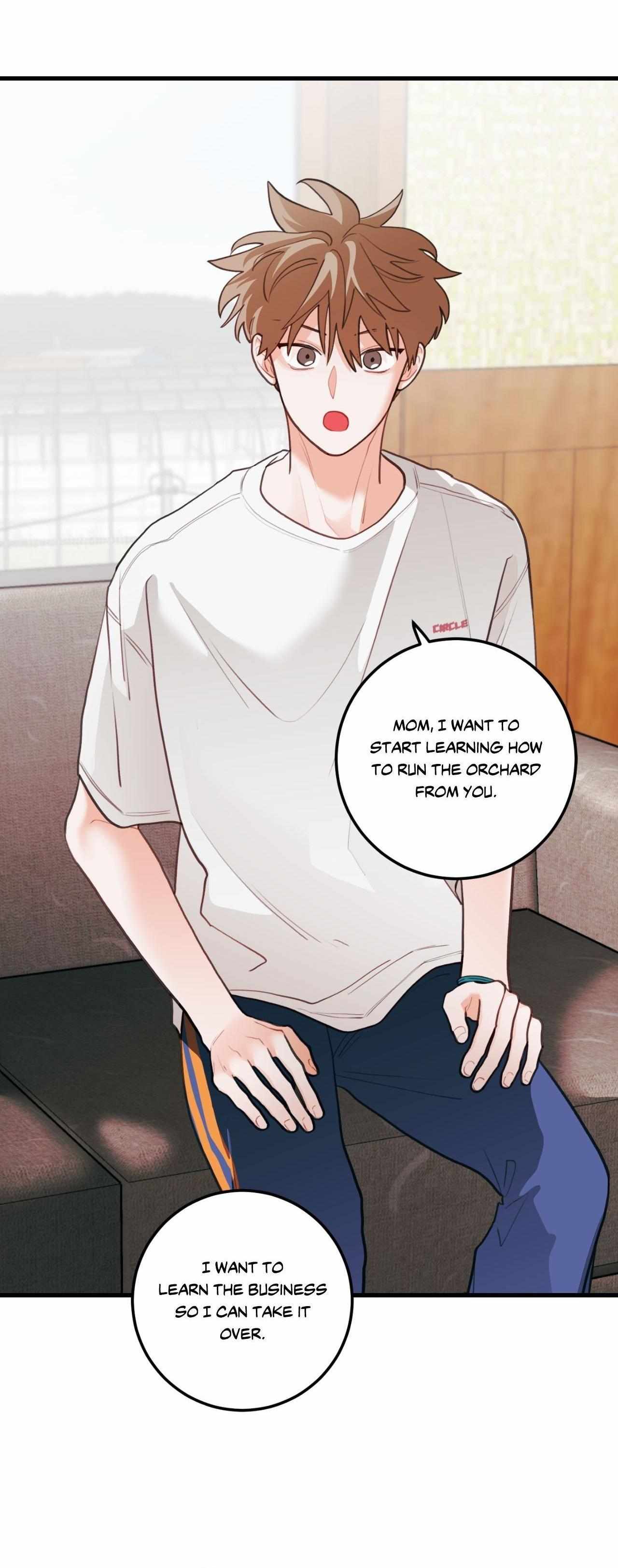 Pear Blosom Love Chapter 75 page 5 - 