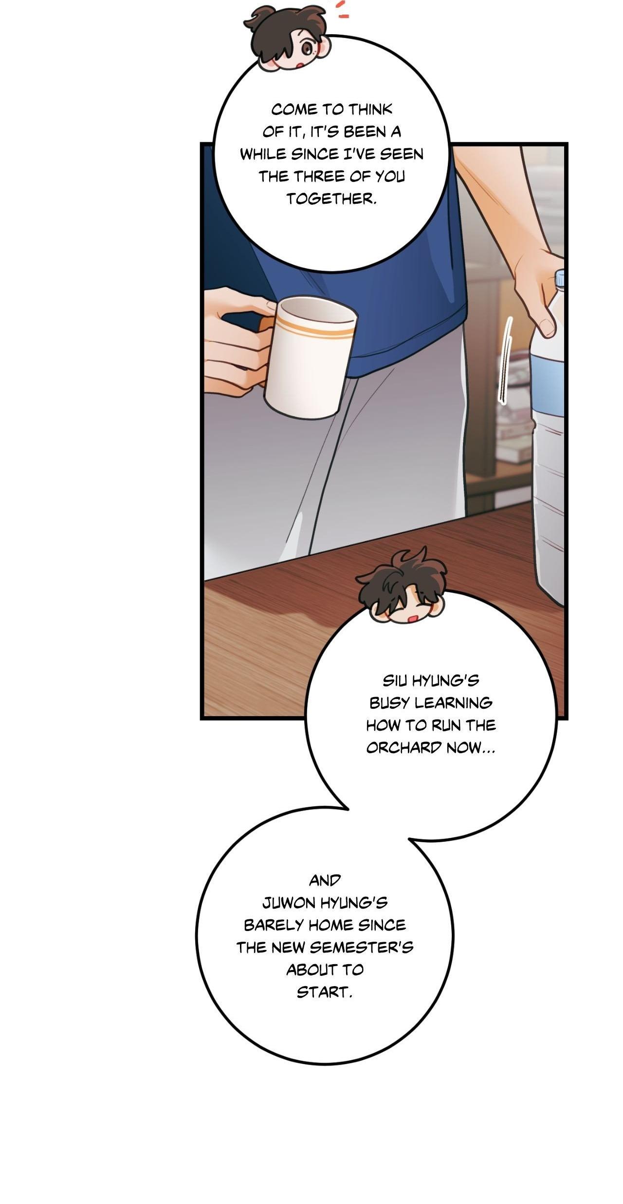 Pear Blosom Love Chapter 76 page 28 - 