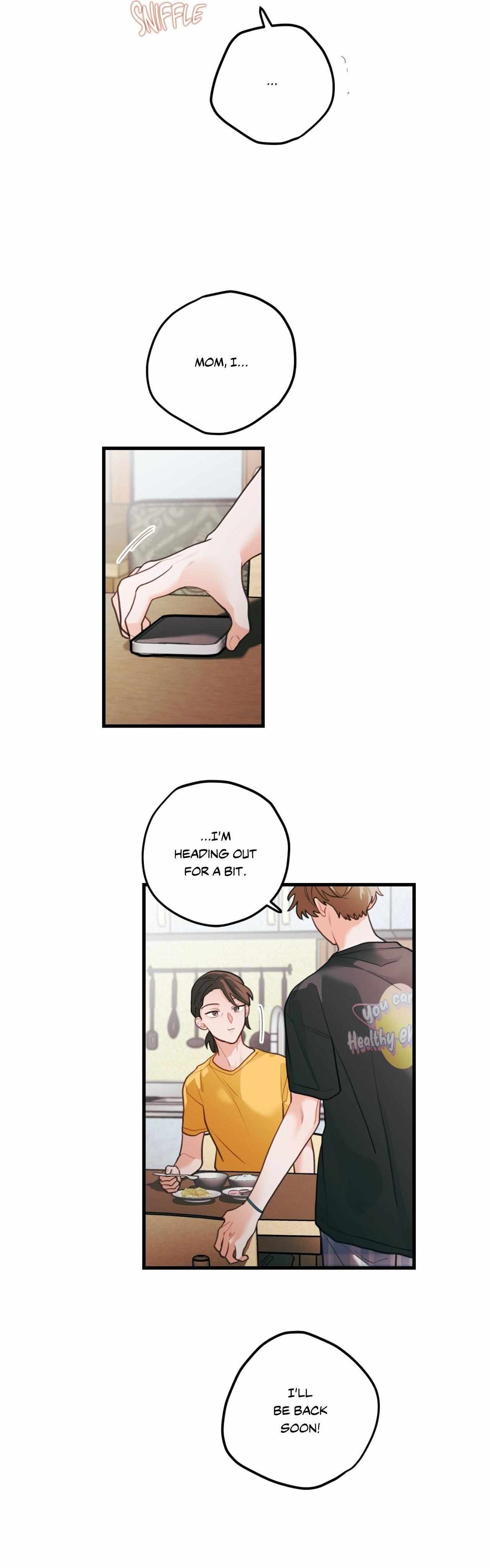 Pear Blosom Love Chapter 84 page 17 - 