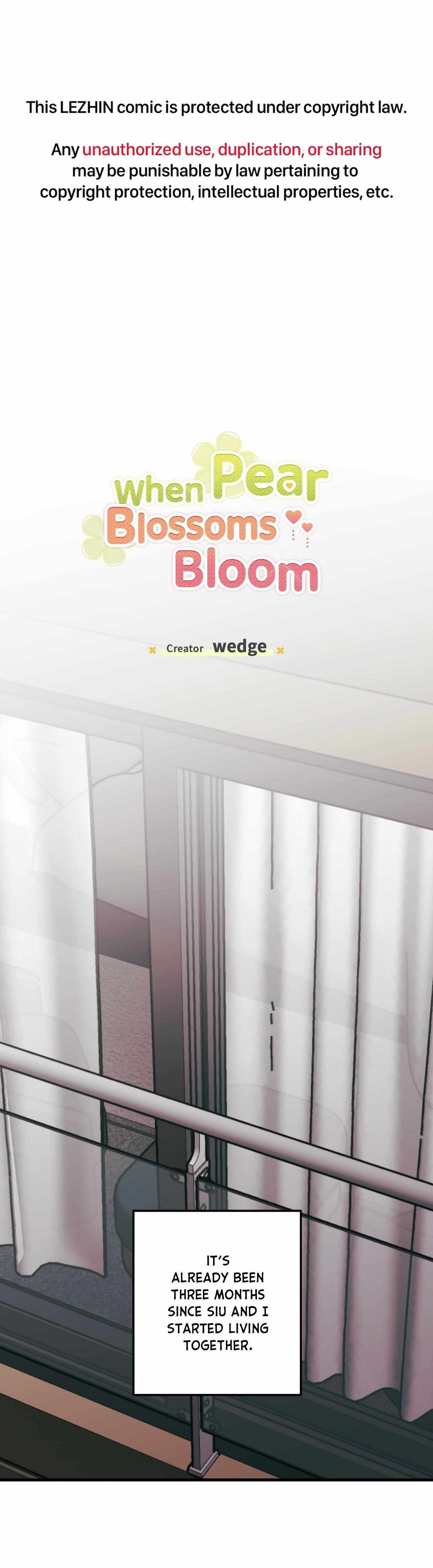 Pear Blosom Love Chapter 93 page 2 - 