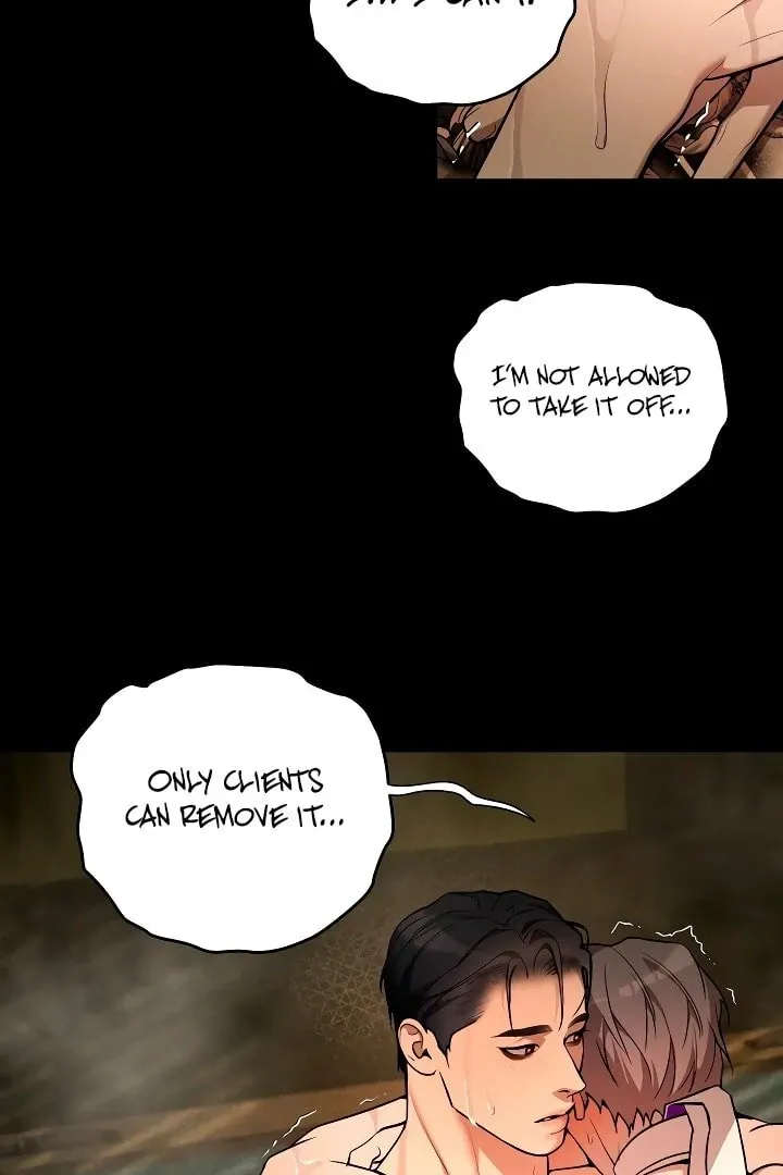 PEARL BOY: IGNITE THE DAWN Chapter 11 page 37 - 
